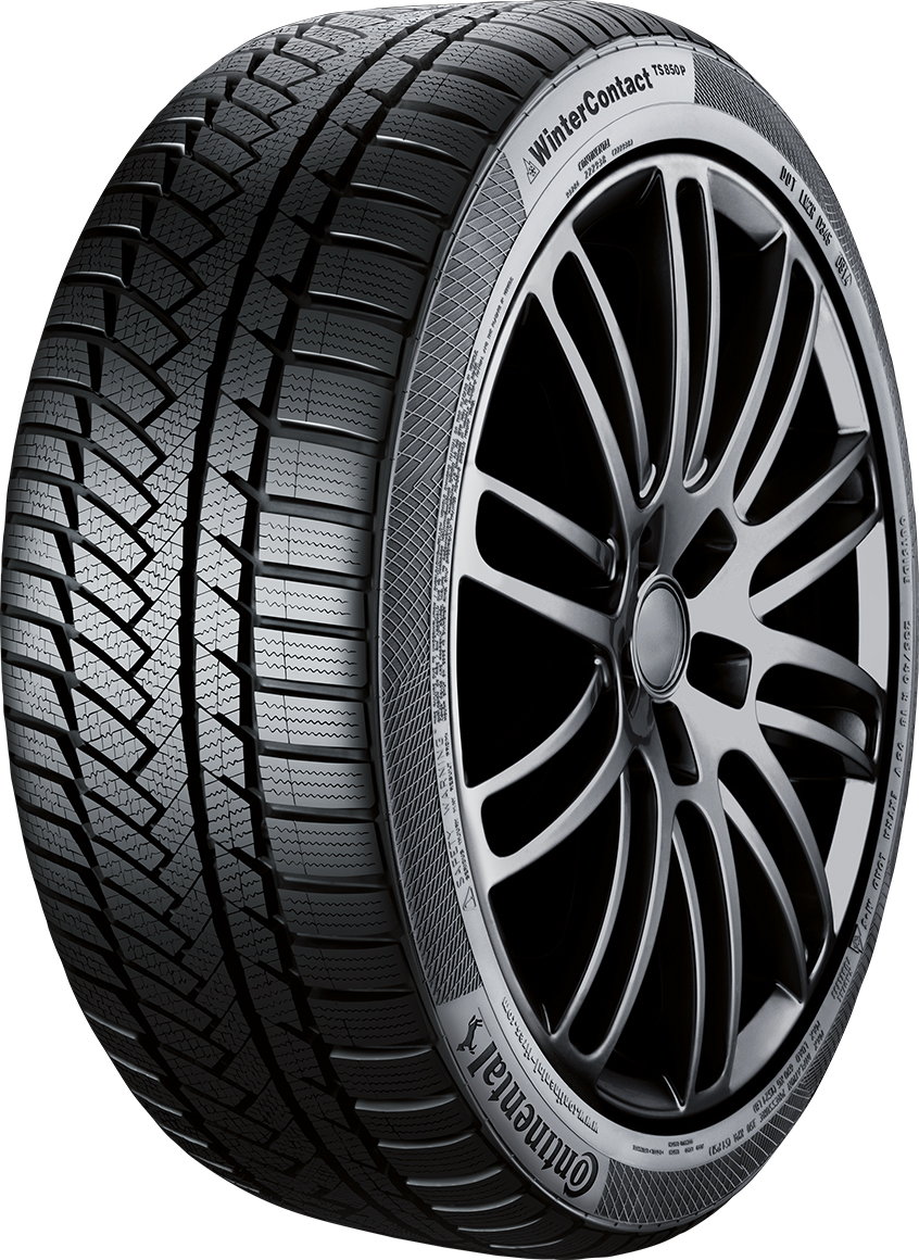 Ελαστικά αυτοκηνίτου CONTINENTAL TS850PAO AUDI 205/60 R16 92H